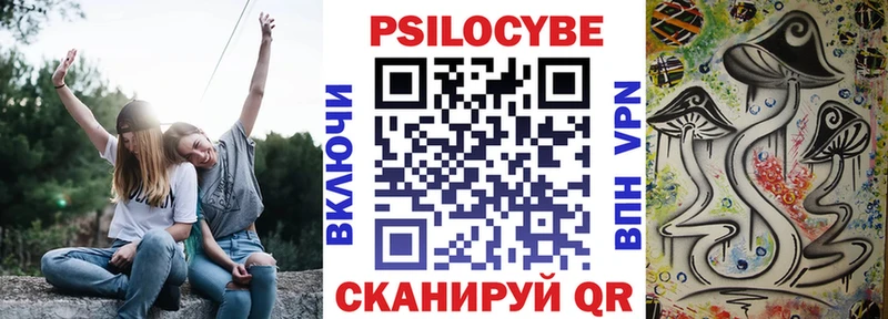 Галлюциногенные грибы Cubensis  купить закладку  Анива 